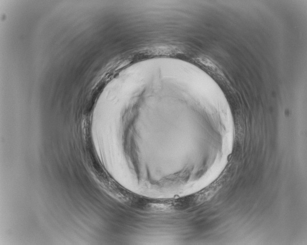 X0000059840167200511181522