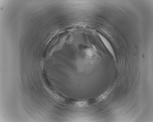 X0000059840168200511181522