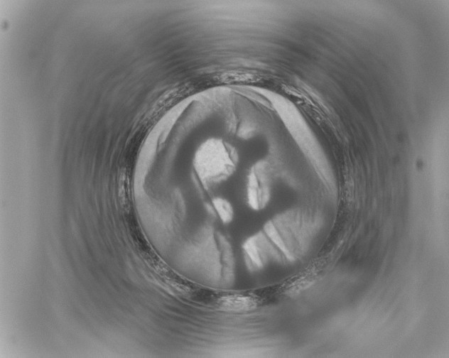 X0000059840169200511181522