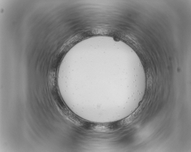 X0000059840171200511181522