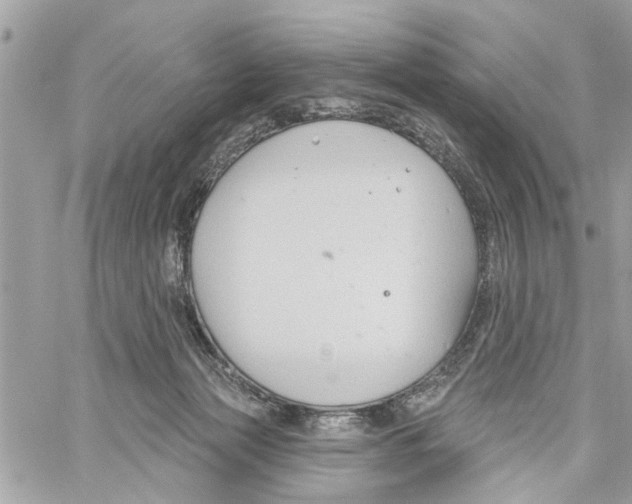 X0000059840173200511181522