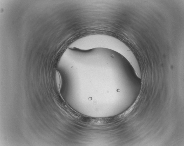 X0000059840174200511181522