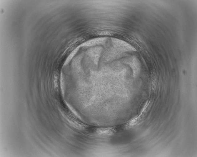 X0000059840175200511181522