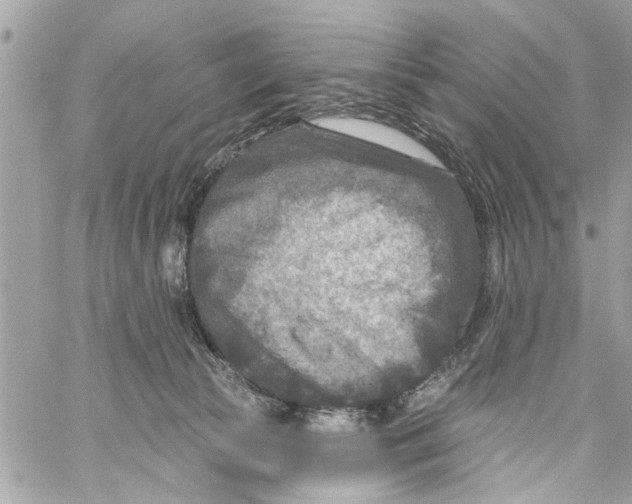 X0000059840177200511181522