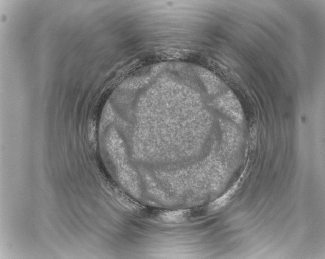 X0000059840178200511181522