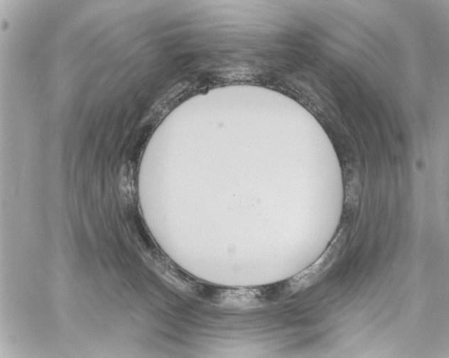 X0000059840179200511181522