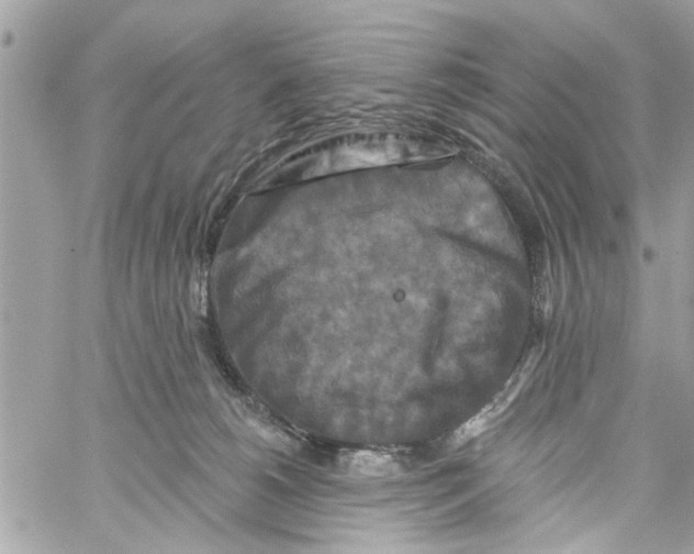 X0000059840180200511181522