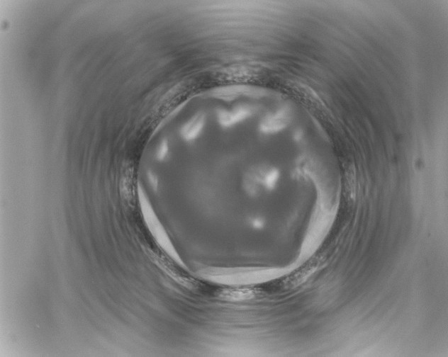 X0000059840181200511181522