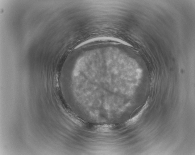 X0000059840182200511181522