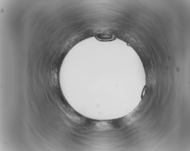 X0000059840183200511181522