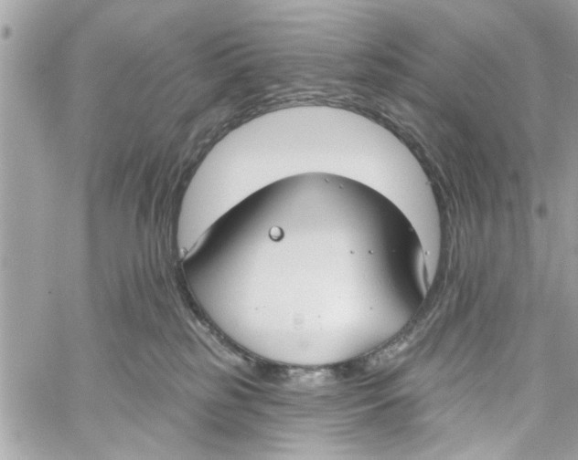 X0000059840185200511181522