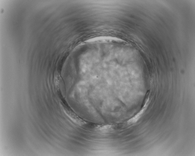 X0000059840186200511181522