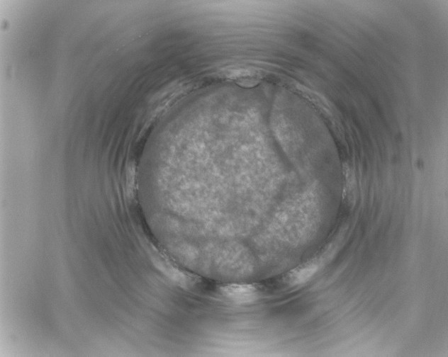 X0000059840189200511181522