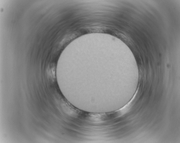 X0000059840190200511181522