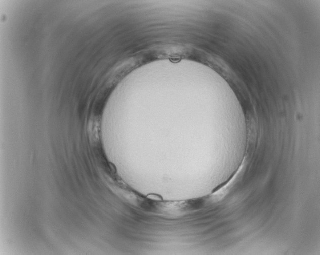 X0000059840191200511181522