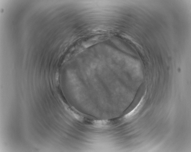 X0000059840192200511181522