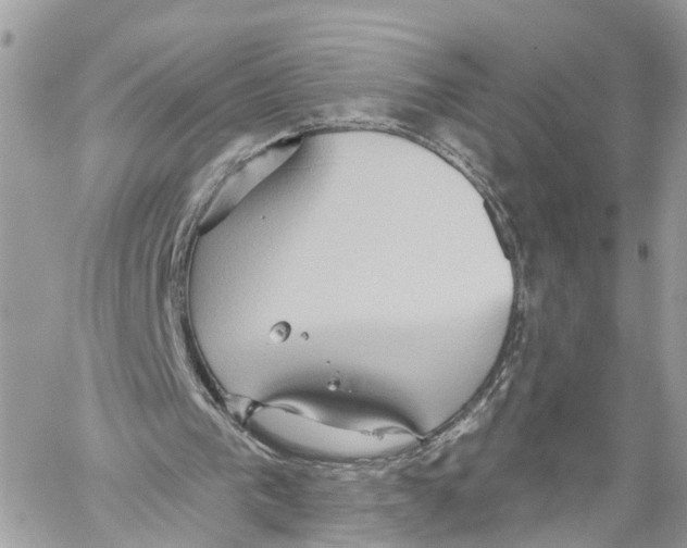 X0000059840193200511181522