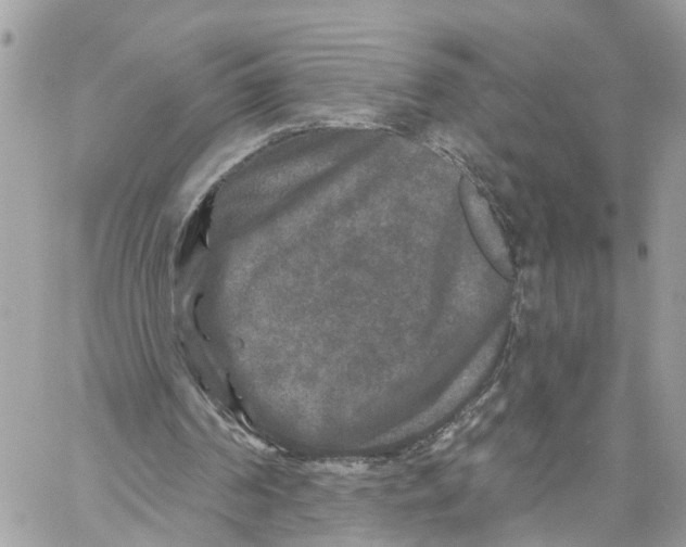 X0000059840194200511181522