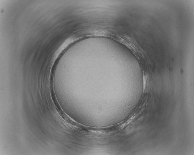 X0000059840195200511181522