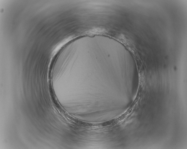 X0000059840196200511181522