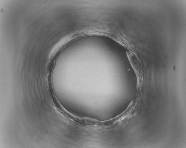 X0000059840197200511181522