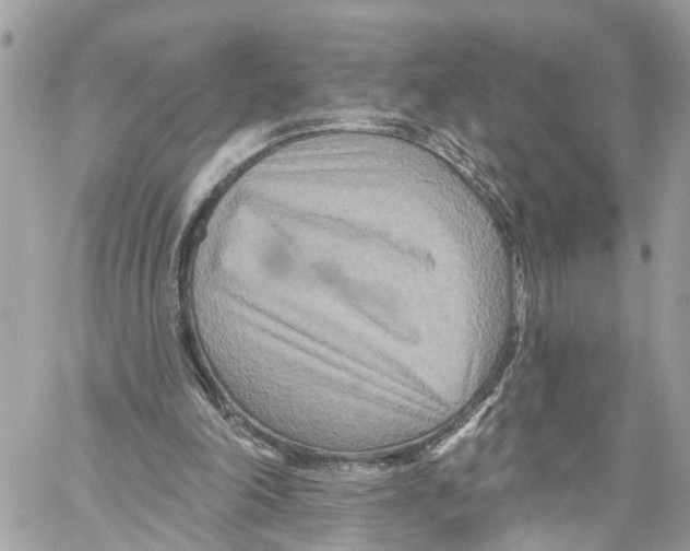 X0000059840198200511181522