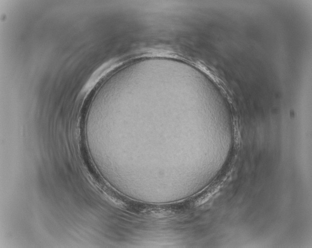 X0000059840199200511181521