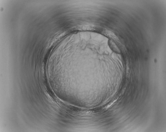 X0000059840202200511181521