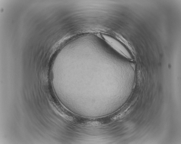 X0000059840203200511181521