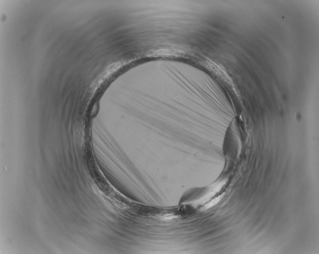 X0000059840204200511181521