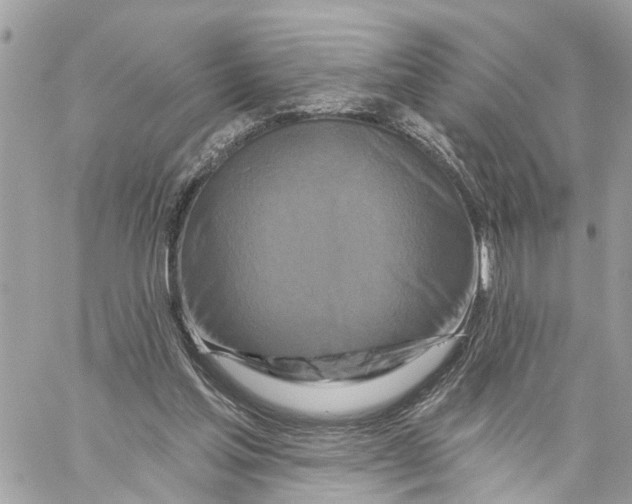 X0000059840205200511181521