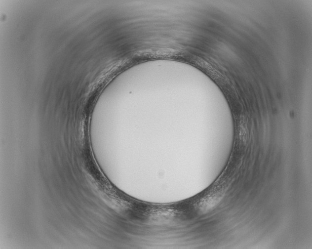 X0000059840206200511181521