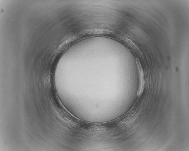 X0000059840207200511181521