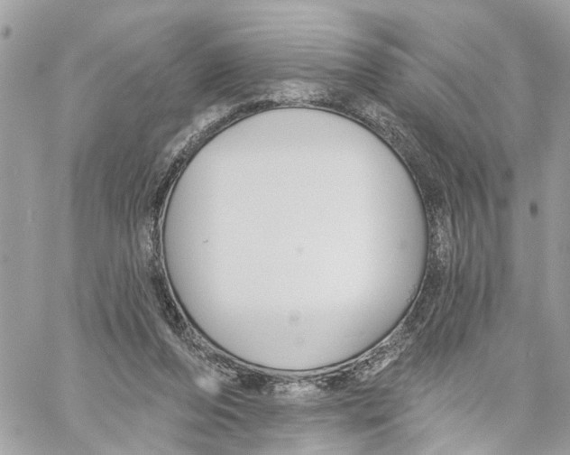 X0000059840208200511181521