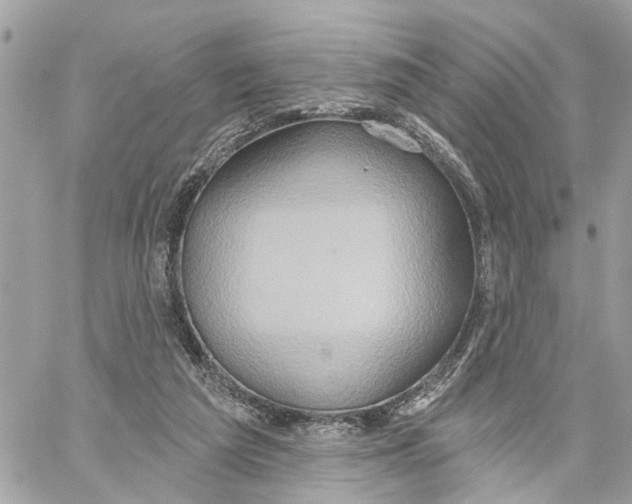 X0000059840209200511181521