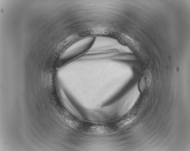 X0000059840211200511181521