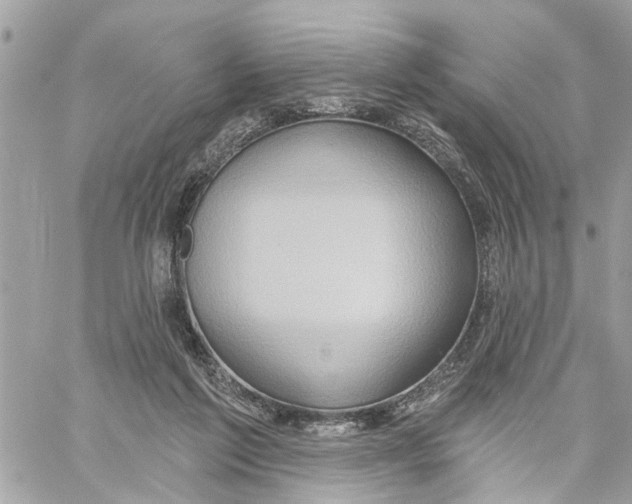 X0000059840213200511181521