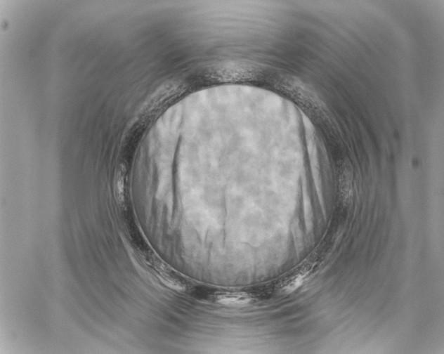 X0000059840214200511181521