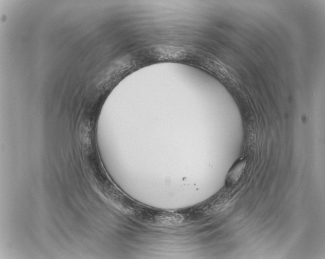 X0000059840215200511181521