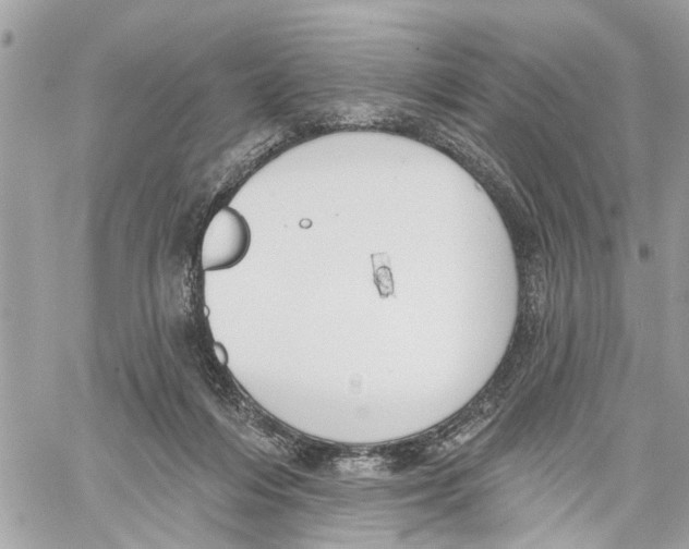 X0000059840216200511181521