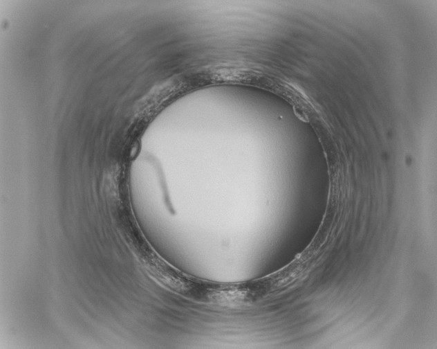 X0000059840217200511181521