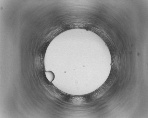 X0000059840218200511181521