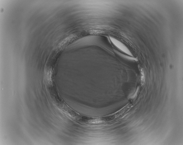 X0000059840219200511181521