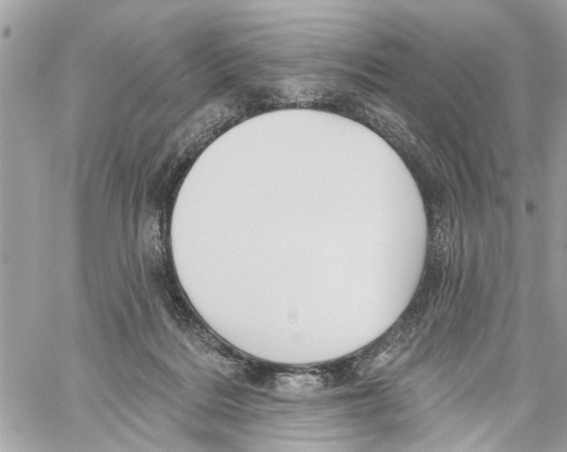 X0000059840220200511181521