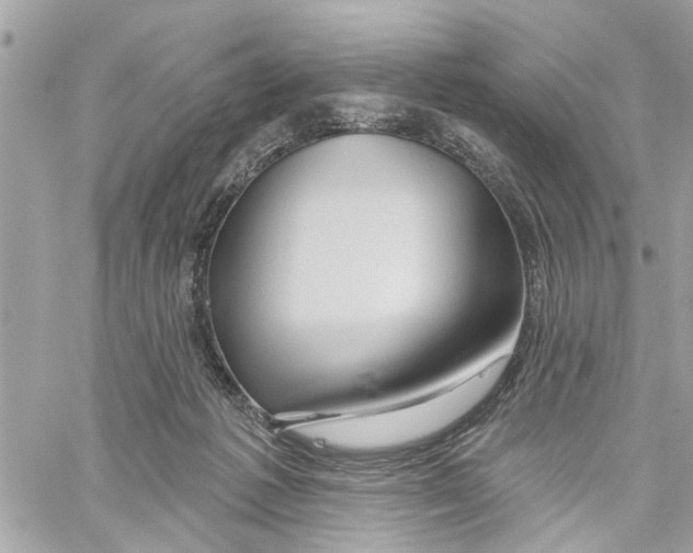 X0000059840221200511181521