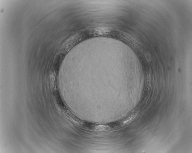 X0000059840222200511181521