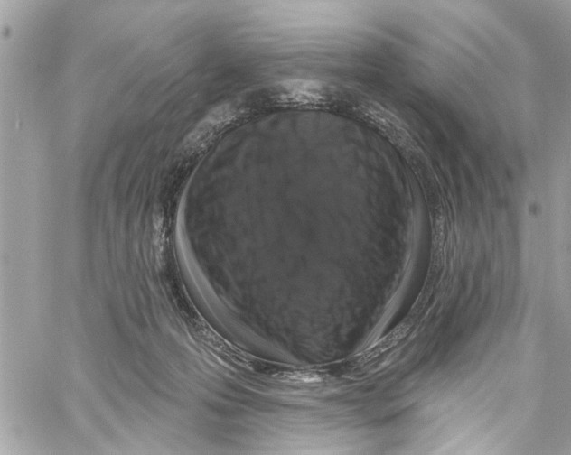 X0000059840223200511181521