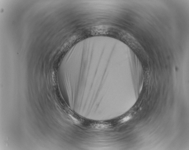 X0000059840224200511181521