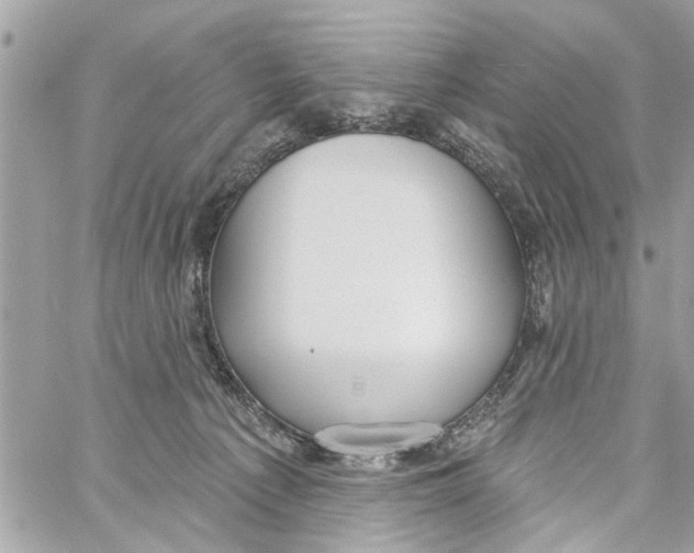 X0000059840225200511181521