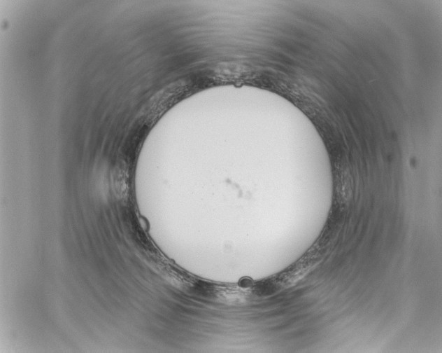 X0000059840226200511181521